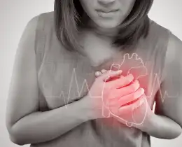 Rerum est expedita s